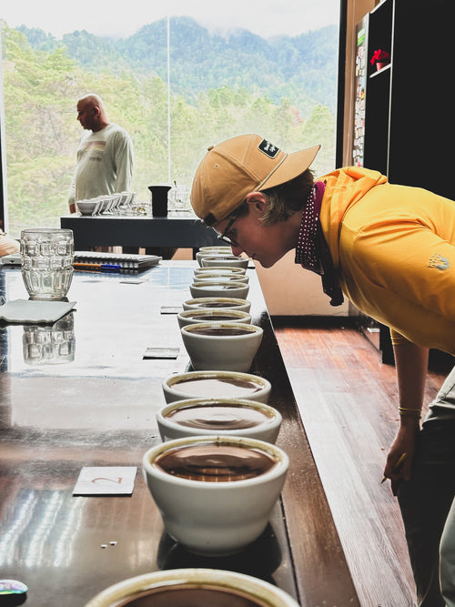 Honduras Honey